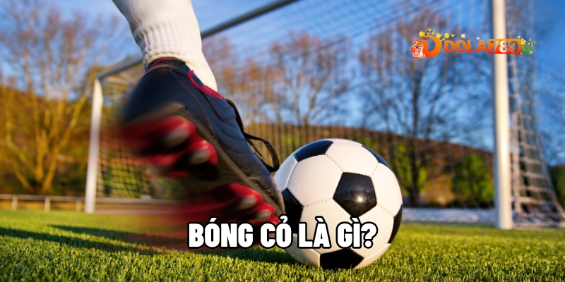 bong co la gi 1