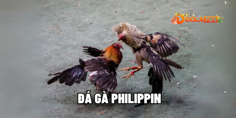 da ga philippin 1